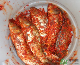 腌魚放多少鹽？腌魚放鹽的比例