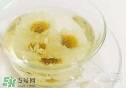 菊花茶什么時(shí)候喝最好？菊花茶什么季節(jié)喝最好？