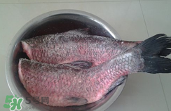 新鮮魚怎么腌制咸魚塊？咸魚塊怎么腌制