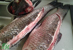 新鮮魚怎么腌制咸魚塊？咸魚塊怎么腌制