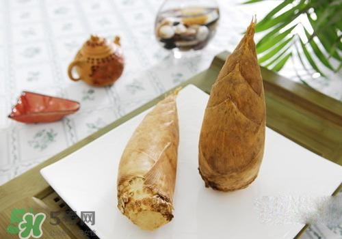 冬筍可以放冰箱嗎？冬筍放冰箱保存方法