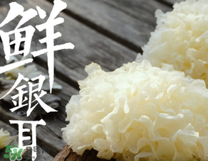 新鮮銀耳有毒嗎？新鮮銀耳怎么去毒？