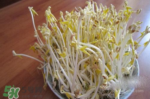 豆芽糖尿病可以吃嗎？糖尿病吃豆芽有什么好處？