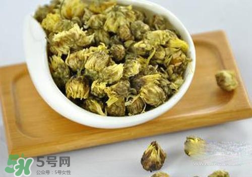 金銀花和菊花哪個(gè)去火效果好一些？金銀花和菊花茶哪個(gè)好？