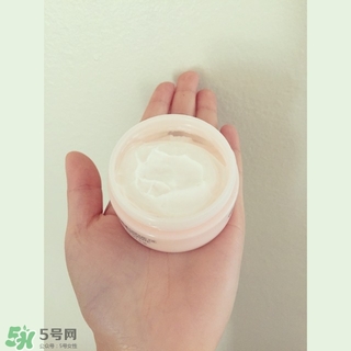 the body shop維e晚霜怎么用？美體小鋪維e晚霜使用方法