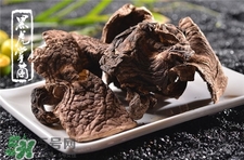 虎掌菌的營養(yǎng)價(jià)值 虎掌菌的功效與作用