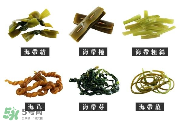 海帶上的白霜是什么？海帶上面有白色的東西那是什么