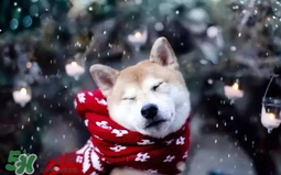 2017年冷空氣什么時(shí)候？2017年冷空氣最新消息