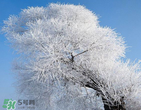 2017年第一場(chǎng)雪什么時(shí)候？2017年什么時(shí)候下雪？