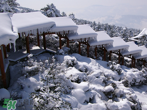2017年第一場(chǎng)雪什么時(shí)候？2017年什么時(shí)候下雪？