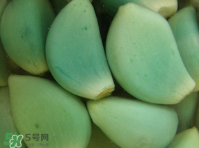 臘八醋里的蒜能吃嗎？臘八醋里的蒜好吃嗎？