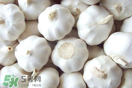 2017過(guò)年大蒜會(huì)漲價(jià)嗎？2017年春節(jié)大蒜價(jià)格預(yù)測(cè)