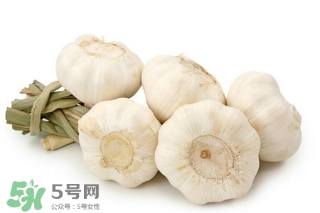 2017過(guò)年大蒜會(huì)漲價(jià)嗎？2017年春節(jié)大蒜價(jià)格預(yù)測(cè)