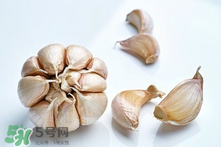 2017過(guò)年大蒜會(huì)漲價(jià)嗎？2017年春節(jié)大蒜價(jià)格預(yù)測(cè)