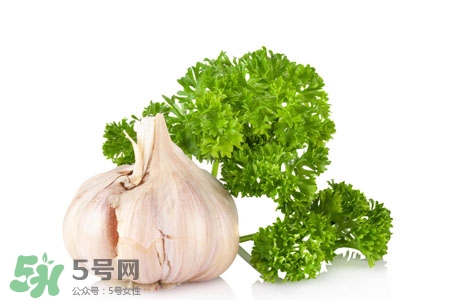 2017過(guò)年大蒜會(huì)漲價(jià)嗎？2017年春節(jié)大蒜價(jià)格預(yù)測(cè)