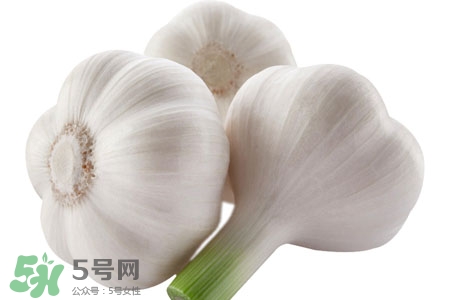 2017過(guò)年大蒜會(huì)漲價(jià)嗎？2017年春節(jié)大蒜價(jià)格預(yù)測(cè)