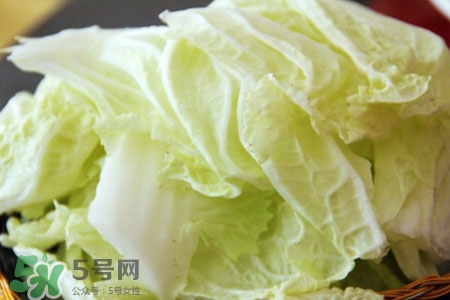 2017過(guò)年白菜會(huì)漲價(jià)嗎？2017年春節(jié)白菜價(jià)格預(yù)測(cè)