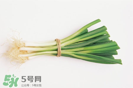 2017過年大蔥會漲價嗎？2017年春節(jié)大蔥價格預測