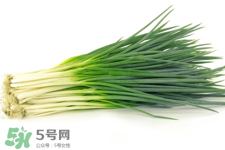 2017過年小蔥會漲價(jià)嗎？2017年春節(jié)小蔥價(jià)格預(yù)測