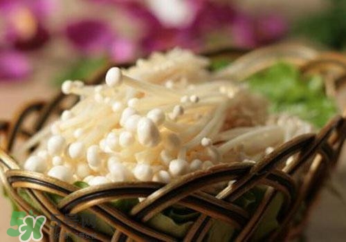 金針菇不能和什么一起吃？金針菇的食用禁忌