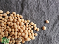 對(duì)心臟有益的食物有哪些？對(duì)心臟有好處的食物大全