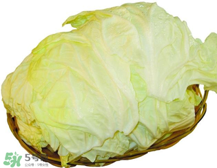 白菜發(fā)苦能吃嗎？大白菜發(fā)苦是什么原因？