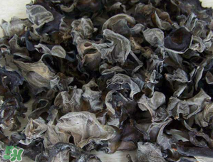 干木耳泡多久可以吃？干木耳泡了兩天還能吃嗎？