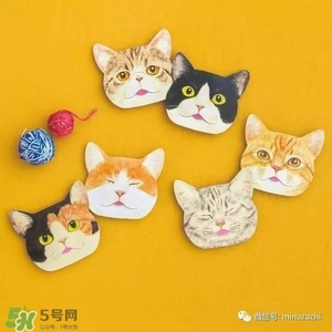 felissimo貓爪化妝棉多少錢？felissimo貓爪化妝棉哪里買？