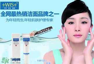 wis是哪個(gè)國(guó)家的品牌？wis是什么牌子？