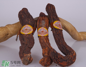 鎖陽(yáng)和肉蓯蓉一起泡酒可以嗎？肉蓯蓉和鎖陽(yáng)的區(qū)別