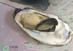 生蠔多少錢一斤？生蠔一斤有幾個？