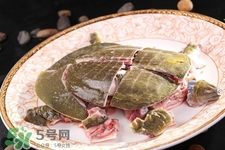 有乙肝可以吃甲魚嗎？乙肝患者禁吃甲魚