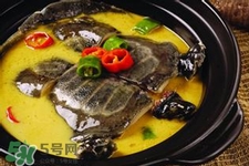 有乙肝可以吃甲魚嗎？乙肝患者禁吃甲魚