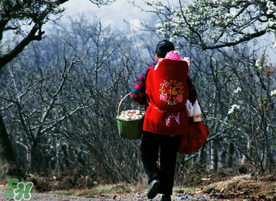 立春可以回娘家嗎？立春能在娘家過(guò)嗎？