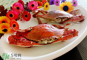 臘月吃什么蟹？臘月吃公蟹還是母蟹？