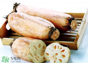 臘月吃什么蔬菜？臘月吃什么素菜？