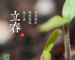 立春吃什么蔬菜？立春時(shí)令蔬菜推薦