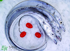 帶魚多少錢一斤？帶魚多少錢一箱？