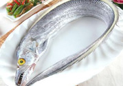 帶魚多少錢一斤？帶魚多少錢一箱？