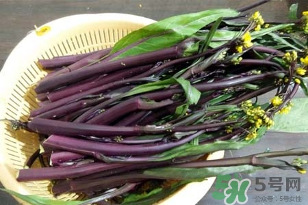 紅菜苔怎么保存？紅菜苔的存儲(chǔ)方法