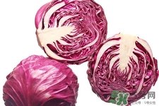 紫甘藍(lán)是轉(zhuǎn)基因食品嗎？紫甘藍(lán)是轉(zhuǎn)基因蔬菜嗎？