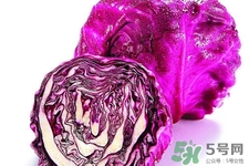 涼拌紫甘藍(lán)用焯水嗎？紫甘藍(lán)涼拌需要焯水嗎？