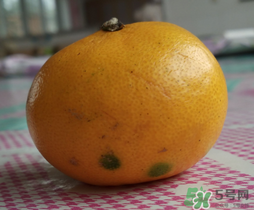 橘子皮發(fā)霉可以吃嗎？吃了發(fā)霉的橘子怎么辦？
