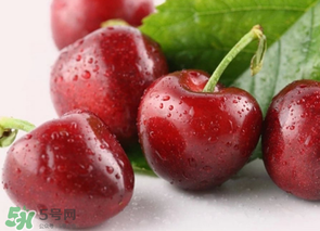為什么吃車?yán)遄訒?huì)拉肚子？吃車?yán)遄永亲釉趺崔k？