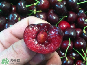 車(chē)?yán)遄恿验_(kāi)能吃嗎？車(chē)?yán)遄訛槭裁磿?huì)裂開(kāi)？