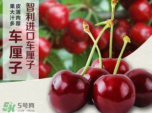 車(chē)?yán)遄恿验_(kāi)能吃嗎？車(chē)?yán)遄訛槭裁磿?huì)裂開(kāi)？