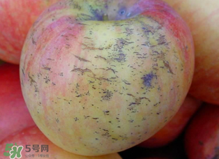 蘋果裂紋能吃嗎？蘋果裂紋是怎么回事？