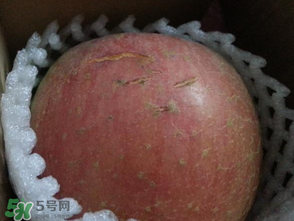 蘋果裂紋能吃嗎？蘋果裂紋是怎么回事？