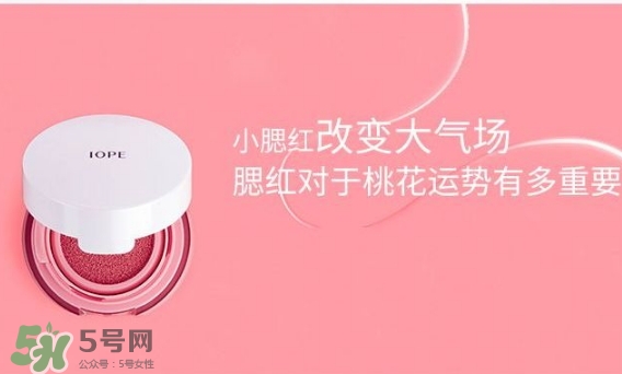 iope氣墊腮紅怎么用？iope亦博氣墊腮紅使用心得