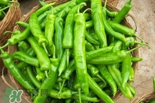 尖椒怎么太辣怎么辦？尖椒怎么炒不辣？